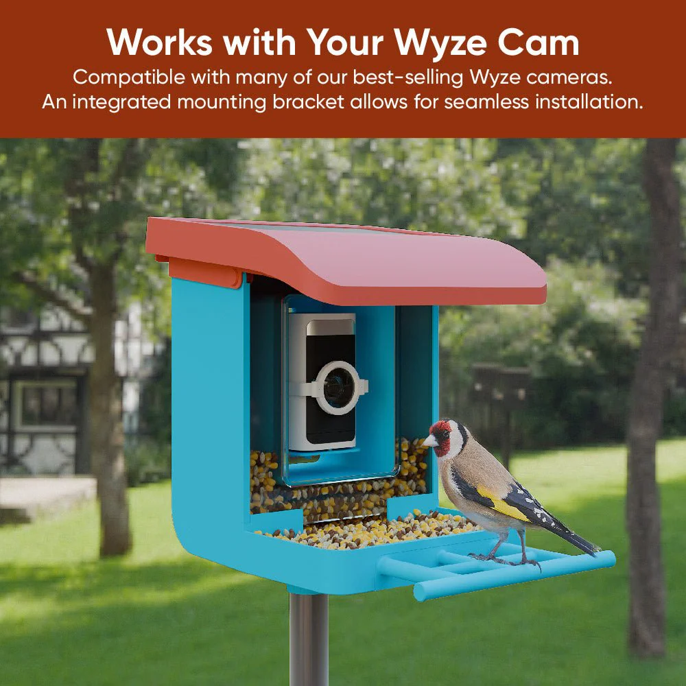 Bird Feeder Wireless Camera Bundle - Image 5